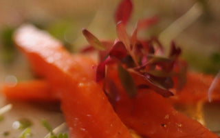 Cold smoked trout