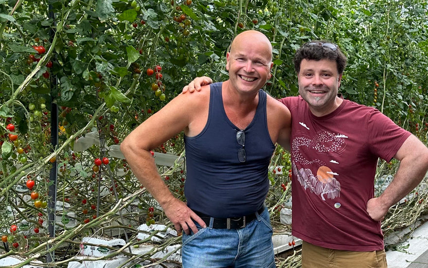 Visit to Glasshouse Tomato facility in Holland