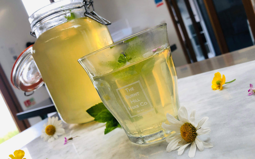 Ice (Mint) Tea Recipe