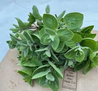 Oregano - ‘Zaatar’