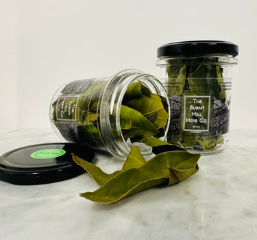 Dried Bay Leaf 'Organic' - 1 Jar