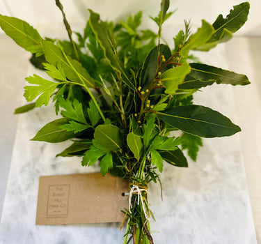 Fresh Herb Bouquet - Small