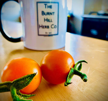 Tomato Club - Small Farm Share - 2023 (NOW FULLY SUBSCRIBED)