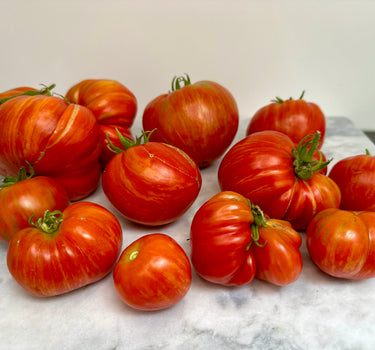 Tomato Club 2024 - Farm Share Subscription - 1kg per fortnight (x6) NOW FULLY SUBSCRIBED