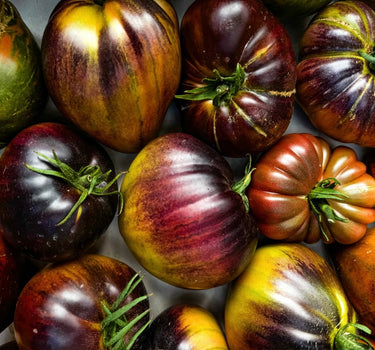 Tomato Club 25 - Farm Share Subscription - 1kg per week (x12)