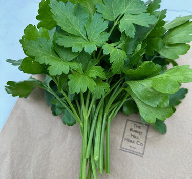 Flat Leaf Parsley - 'Italian Giant Leaf'